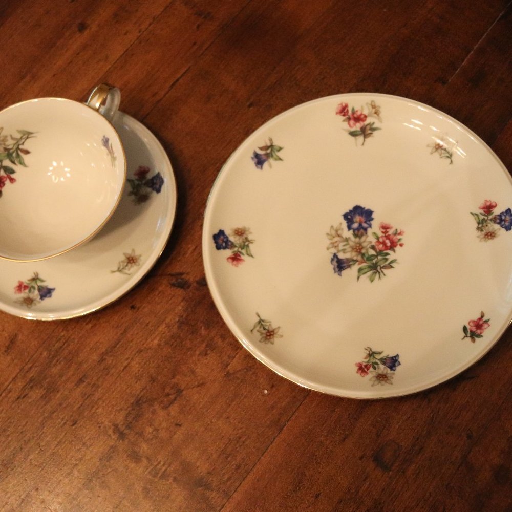 VINTAGe Hutschenreuther plate and cup/saucer - ALPINE FLOWERS design 7.5 in